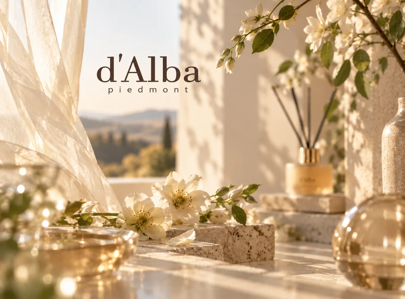 d'Alba 프로젝트